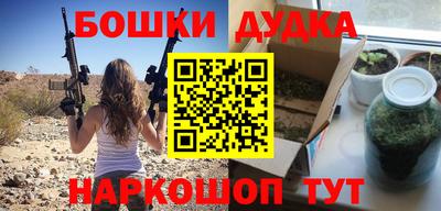 индика Нягань