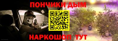 индика Нягань