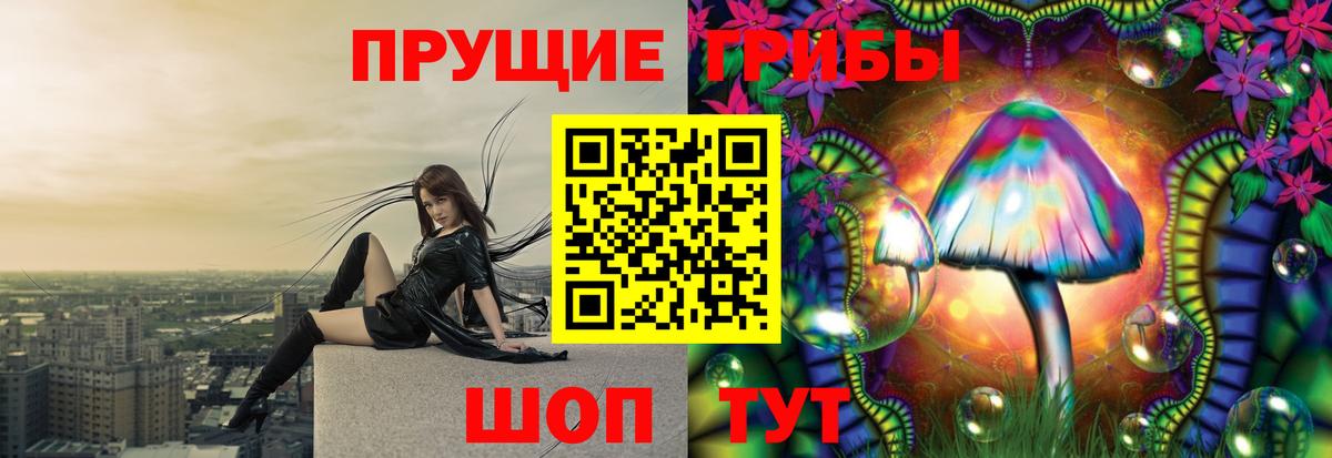 Спасск-Дальний  Псилоцибиновые грибы ЛСД  Вход с VPN 
